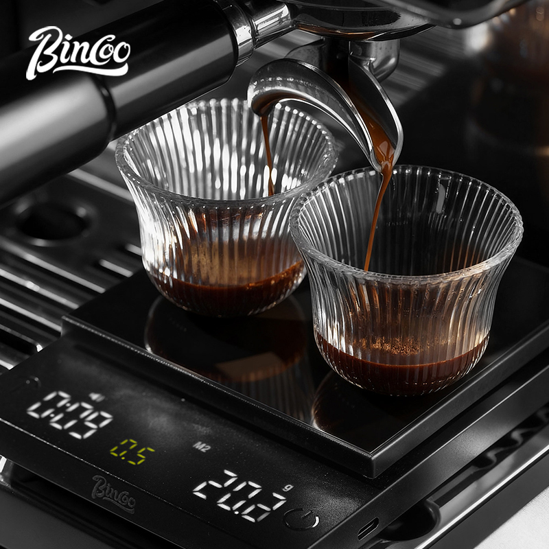 Timbangan Kopi Digital BINCOO  - Scale Drip Timer ulasan dan harga